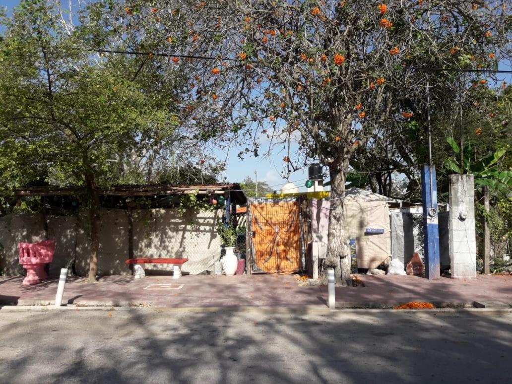 Hostal Y Camping Las G Bacalar Extérieur photo